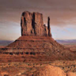 Meet your Posher, Ebony